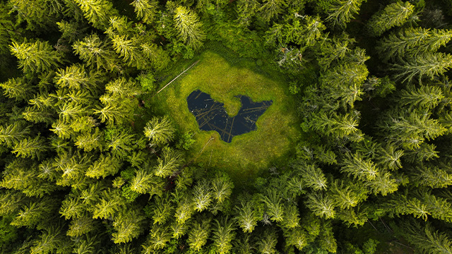 aerial photography ecosystem