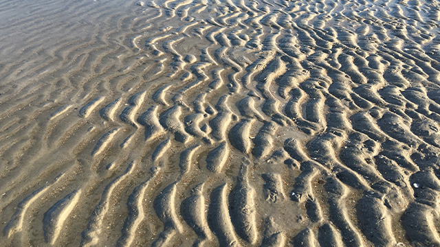 sand and water ripples